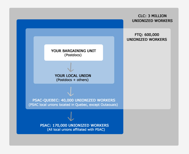 schema
