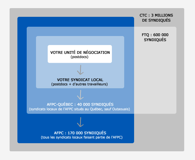 schema